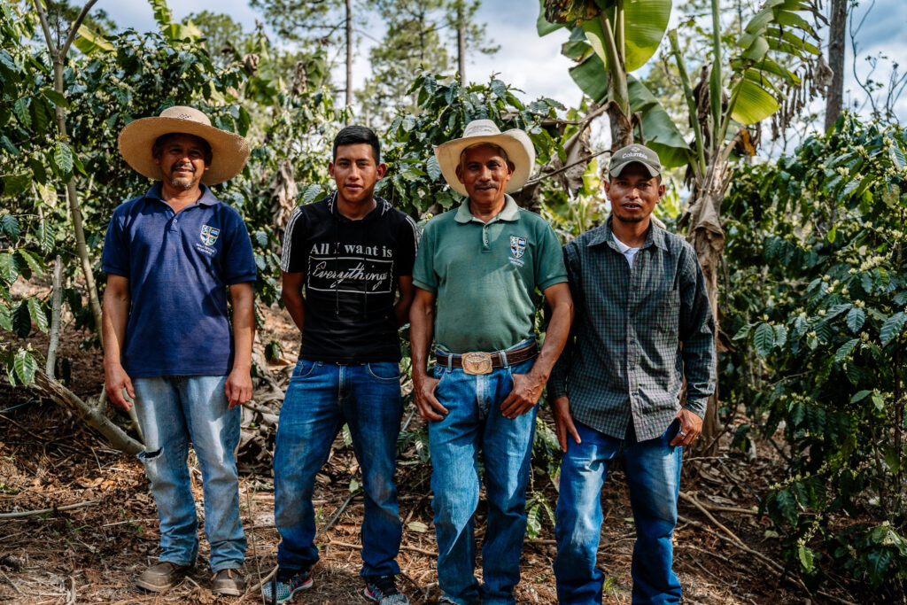 Group of four coffee farmers in front of their plants